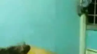 إذلال وجه الجلوس فتاة في البيت المجاور